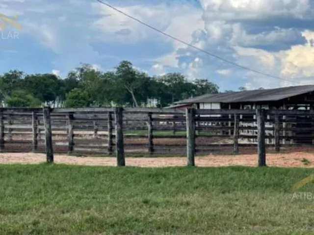 Imagem 5: Maravilhosa fazenda à venda! Se você procura um lugar incrível para viver em meio a