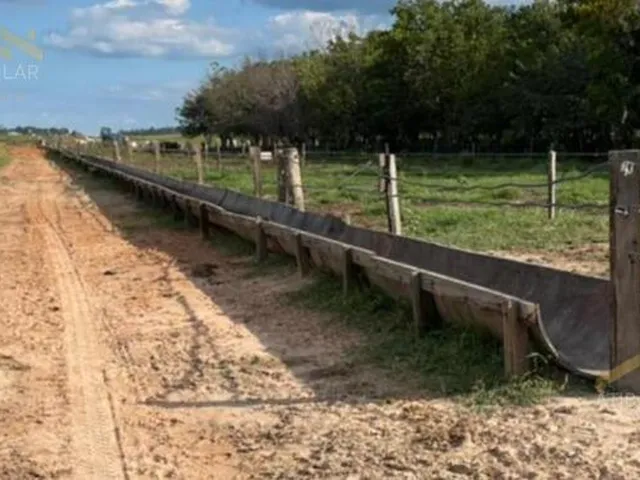 Imagem 12: Maravilhosa fazenda à venda! Se você procura um lugar incrível para viver em meio a