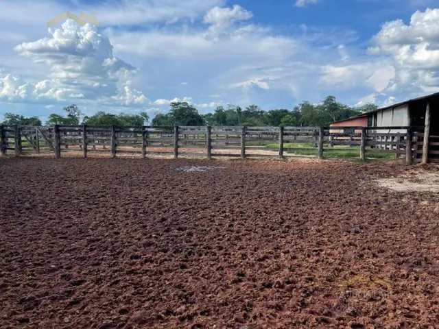 Imagem 7: Maravilhosa fazenda à venda! Se você procura um lugar incrível para viver em meio a