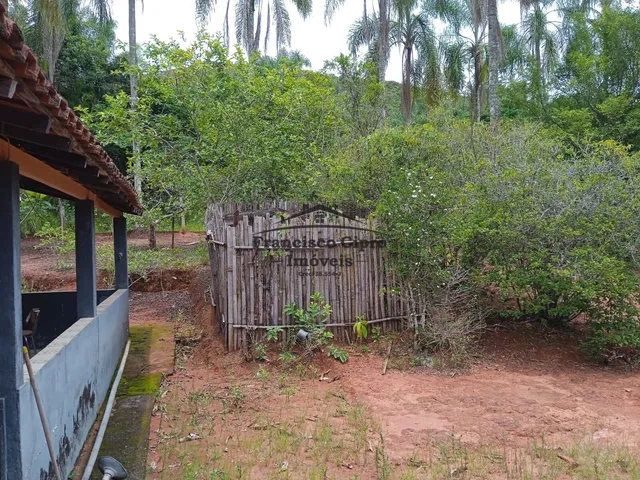 Imagem 14: Chácara À Venda no Bairro Jararaca - Guaratinguetá/Sp