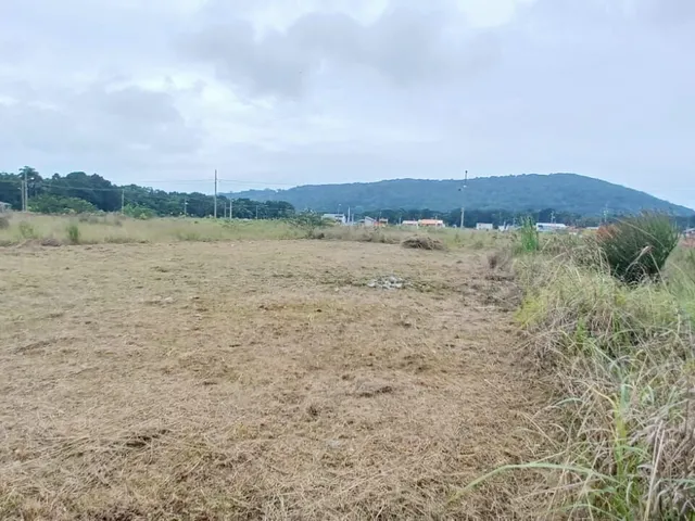 Imagem 4: Terreno em Loteamento em Capri, São Francisco do Sul/Sc