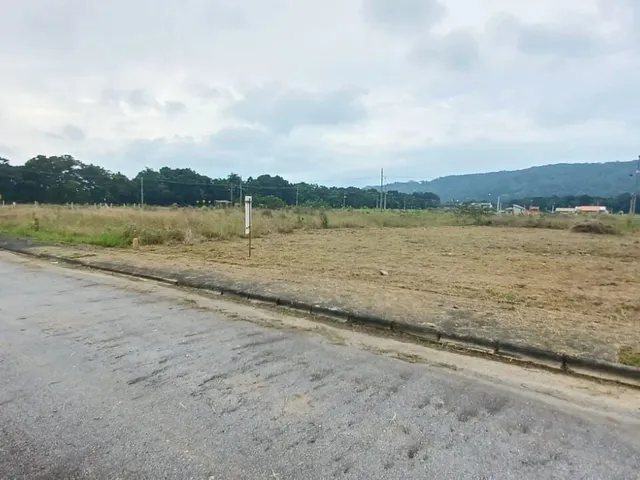 Imagem 6: Terreno em Loteamento em Capri, São Francisco do Sul/Sc