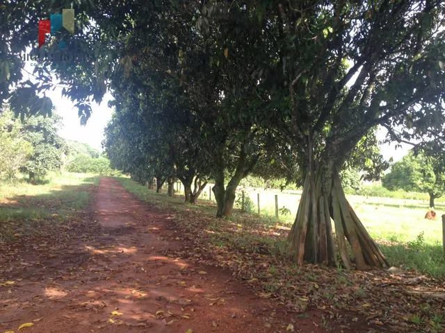 Imagem: Sítio À Venda no Bairro Mirandas - Tatuí/Sp