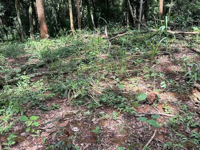 Imagem 12: Terreno em Sitio Novo- Mateus Leme- MG