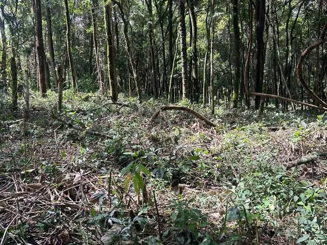Imagem 6: Terreno em Sitio Novo- Mateus Leme- MG
