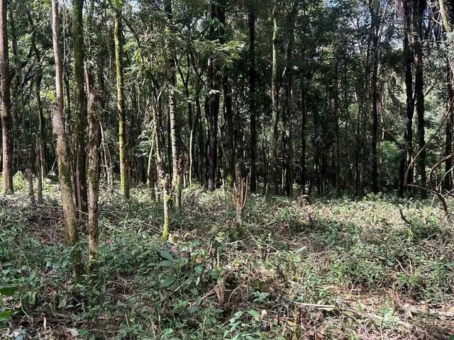 Imagem 16: Terreno em Sitio Novo- Mateus Leme- MG