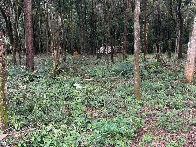 Imagem 13: Terreno em Sitio Novo- Mateus Leme- MG