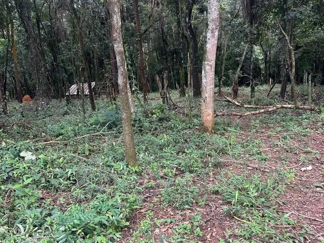 Imagem 8: Terreno em Sitio Novo- Mateus Leme- MG