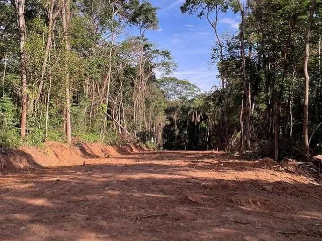 Imagem 15: Terreno em Sitio Novo- Mateus Leme- MG