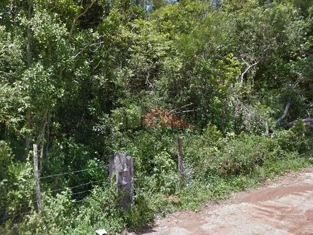 Imagem: Terreno à venda bairro Ratones, Florianópolis/SC