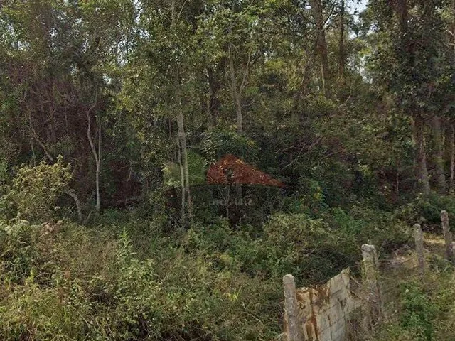 Imagem 11: Terreno à venda bairro Ratones, Florianópolis/SC