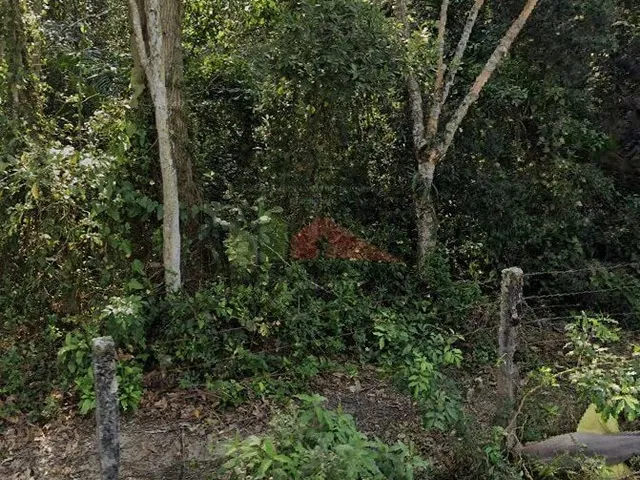 Imagem 6: Terreno à venda bairro Ratones, Florianópolis/SC