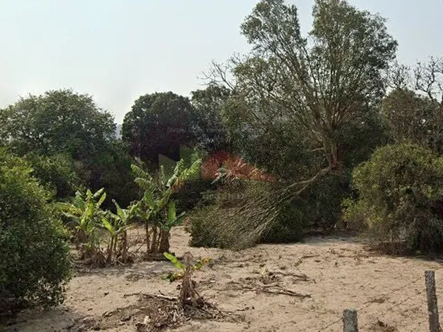 Imagem 7: Terreno à venda bairro Ratones, Florianópolis/SC
