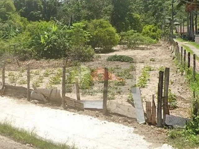 Imagem 2: Terreno à venda bairro Ratones, Florianópolis/SC