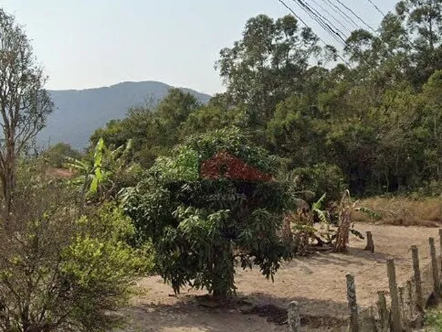 Imagem 8: Terreno à venda bairro Ratones, Florianópolis/SC