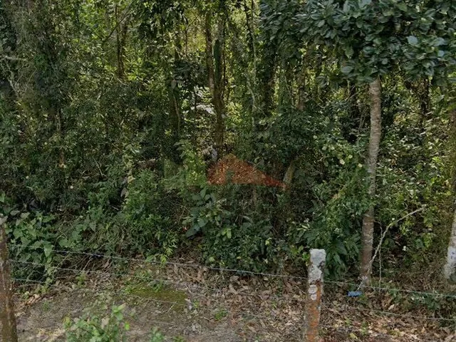 Imagem 9: Terreno à venda bairro Ratones, Florianópolis/SC