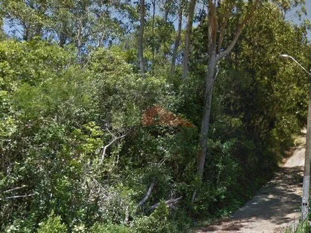 Imagem 5: Terreno à venda bairro Ratones, Florianópolis/SC