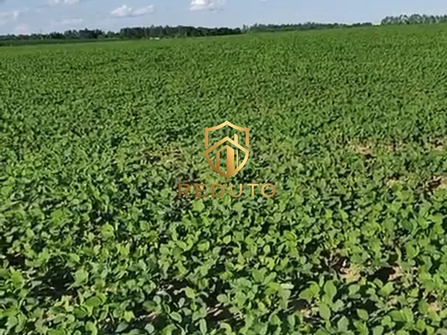 Imagem: Fazenda à venda no bairro Centro - Bom