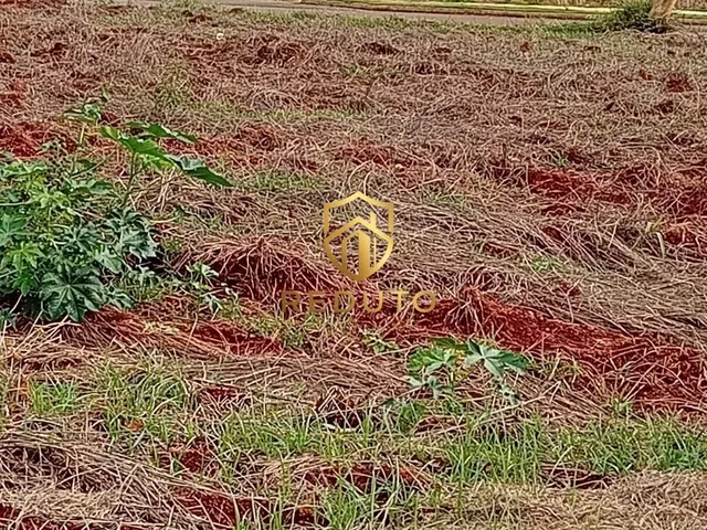 Imagem 3: Terreno Lote em Residencial Monjolo, Patos de Minas/MG
