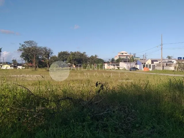 Imagem 8: Lote de terreno, quadra inteira 100m da rodovia, SHANGRI-LÁ. REF. 1189T