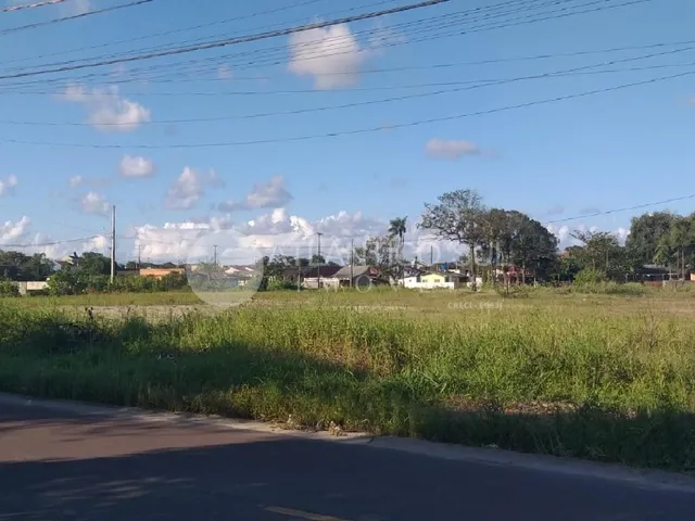 Imagem 4: Lote de terreno, quadra inteira 100m da rodovia, SHANGRI-LÁ. REF. 1189T