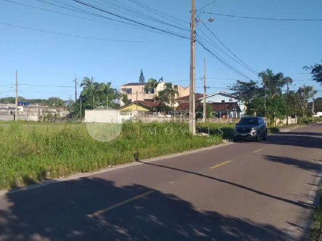 Imagem 6: Lote de terreno, quadra inteira 100m da rodovia, SHANGRI-LÁ. REF. 1189T