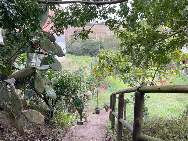 Imagem 3: Casa Térrea com Lago de Carpas em Terreno Gigante!