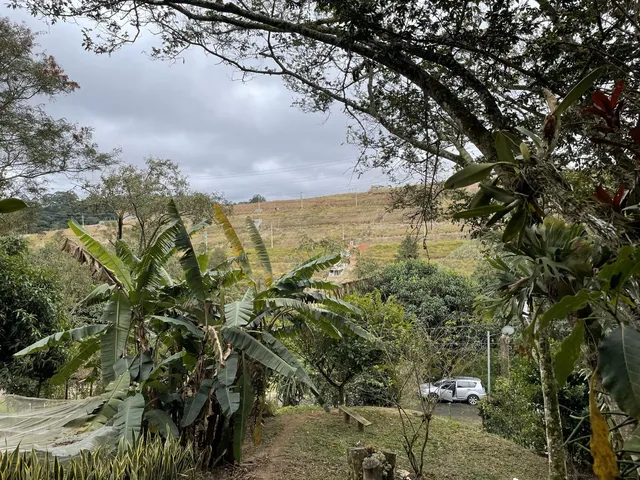 Imagem 5: Casa Térrea com Lago de Carpas em Terreno Gigante!
