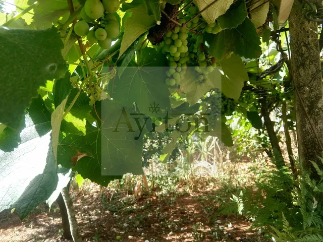Imagem 12: Casa À Venda no Bairro Bom Jardim - Ivoti/Rs