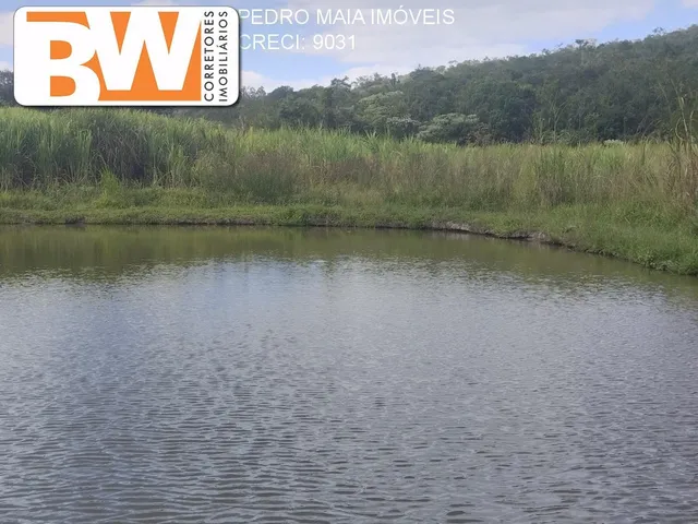 Imagem: Estate em Felício dos Santos - Minas Gerais