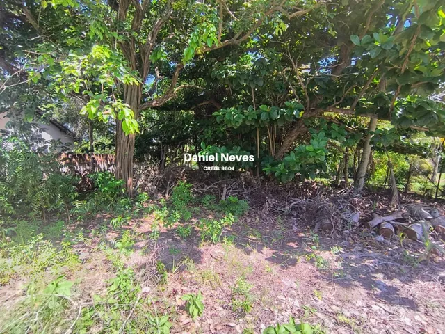 Imagem 8: Terreno em Condomínio para Venda em Camaçari, Busca Vida (Abrantes