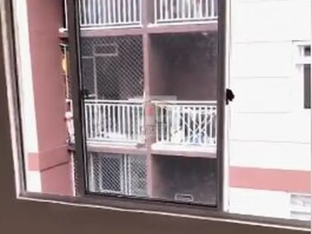 Imagem 9: Excelente Apartamento de 2 quartos para VENDA no bairro Campo de Santana!!