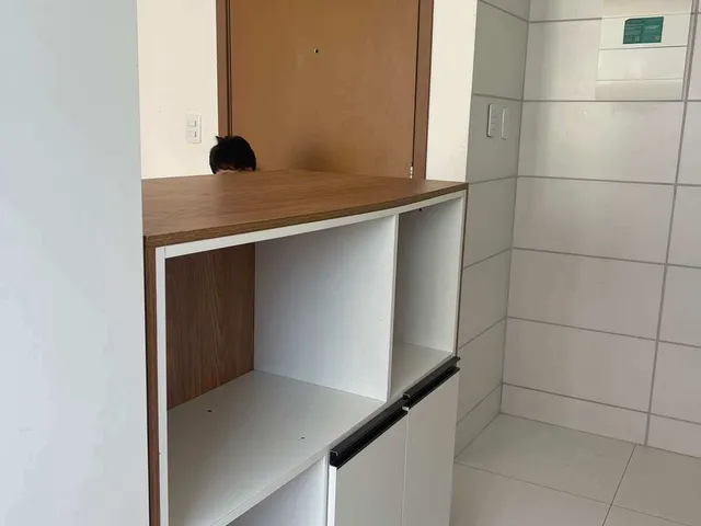 Imagem 7: Apartamento para alugar em São Luís, Cohama, com 2 quartos, 46m²
