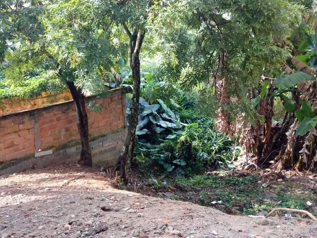 Imagem 9: Lote com Loja no Bairro Castanheira em santa Luzia