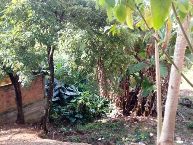 Imagem 8: Lote com Loja no Bairro Castanheira em santa Luzia