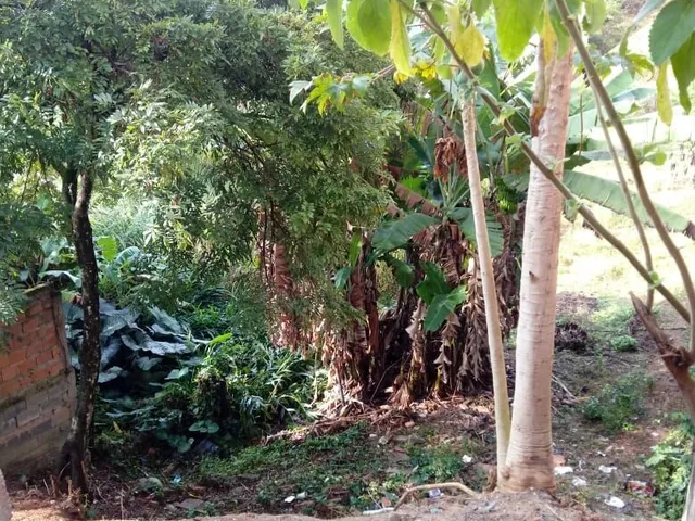 Imagem 6: Lote com Loja no Bairro Castanheira em santa Luzia