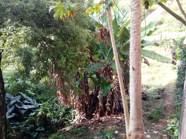 Imagem 3: Lote com Loja no Bairro Castanheira em santa Luzia
