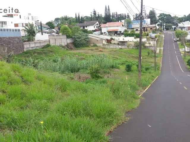 Imagem 2: VENDE TERRENO BAIRRO PINHEIROS