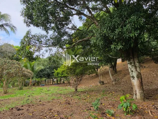 Imagem 9: Chácara com 5.000 m², Lagoa, Piscina e Casa com Suíte à Venda em Guarapari/ES - a 5