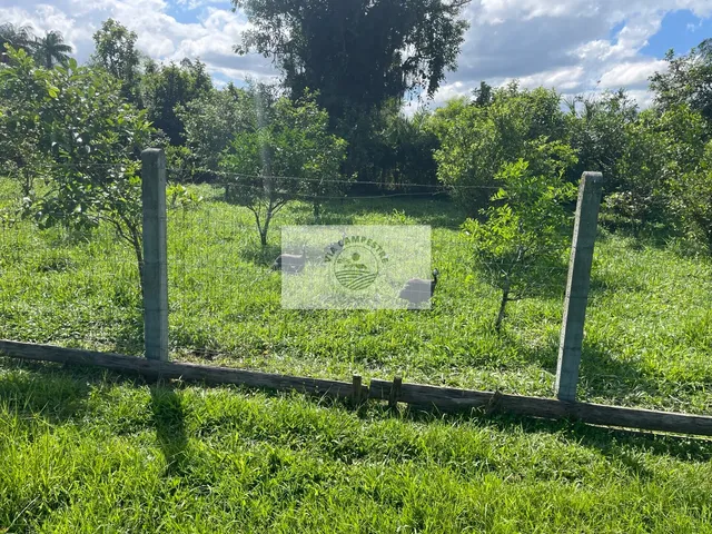 Imagem 7: Sítio na Estrada da Ilha, 5.700 M², Residência com 180 M², Apenas 5 Km do Shopping Garten, Analisa Troca