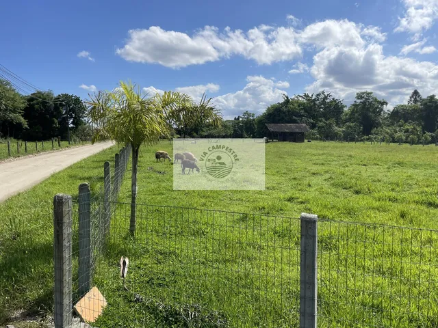 Imagem 12: Sítio na Estrada da Ilha, 5.700 M², Residência com 180 M², Apenas 5 Km do Shopping Garten, Analisa Troca