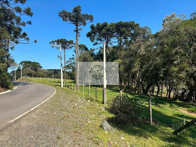 Imagem 3: Terreno para Sitio com Area de Festa e Quarto, Frente para o Asfalto, Escriturado