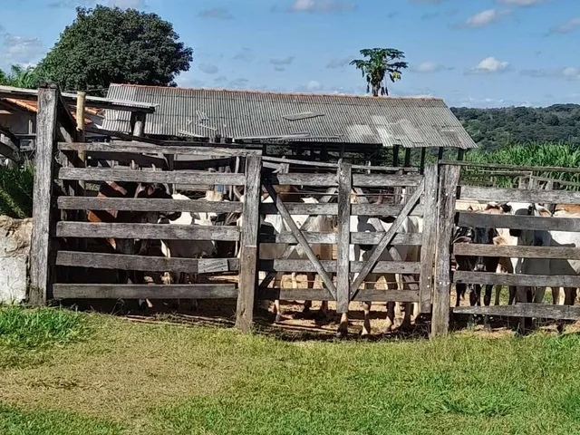Imagem: Fazenda à venda em Montes Claros, Ermidinha