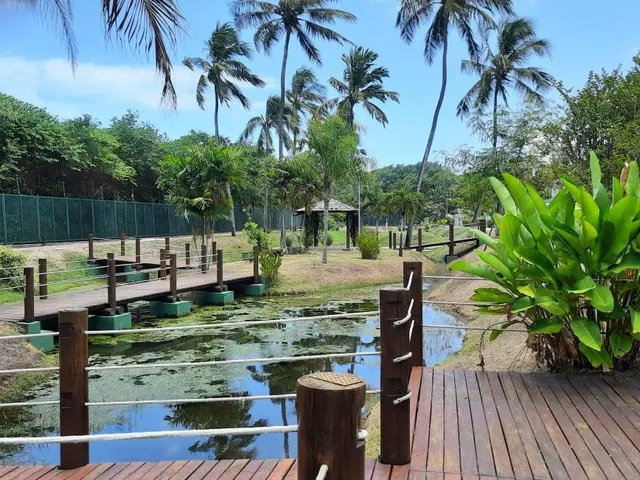Imagem 9: Terreno para Venda em Maceió, Jacarecica