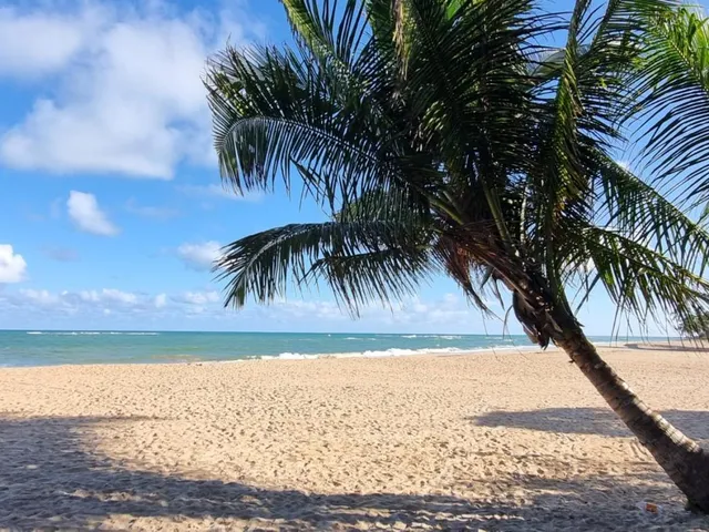 Imagem 16: Terreno para Venda em Maceió, Jacarecica