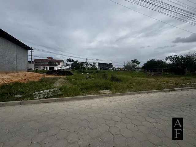 Imagem 5: Terreno Comercial às Margens da SC-434