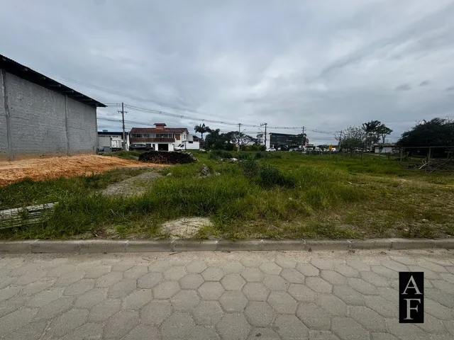 Imagem 8: Terreno Comercial às Margens da SC-434