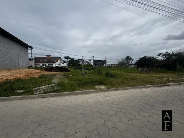 Imagem 6: Terreno Comercial às Margens da SC-434