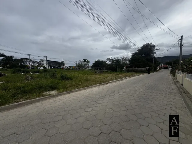 Imagem 7: Terreno Comercial às Margens da SC-434