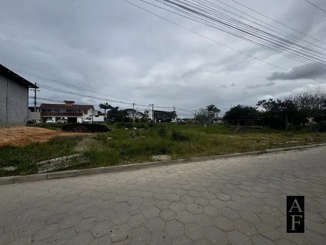 Imagem 4: Terreno Comercial às Margens da SC-434